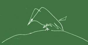 bird-02