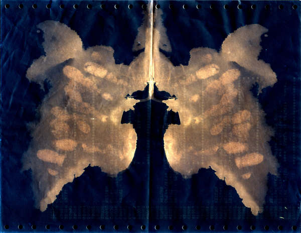 lung