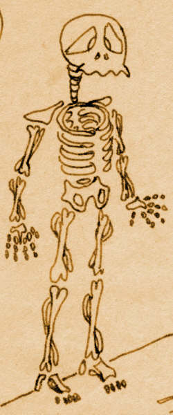 skeleton