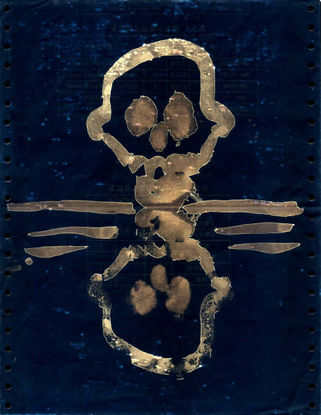 skull