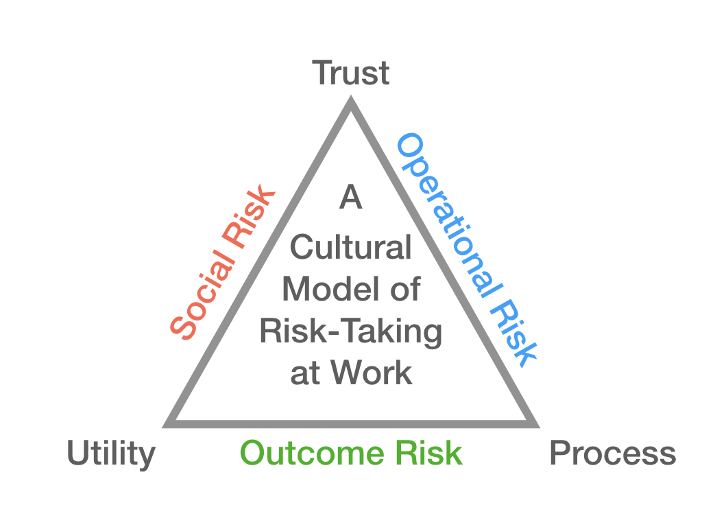 Figure 1: A cultural model of risk-taking at work